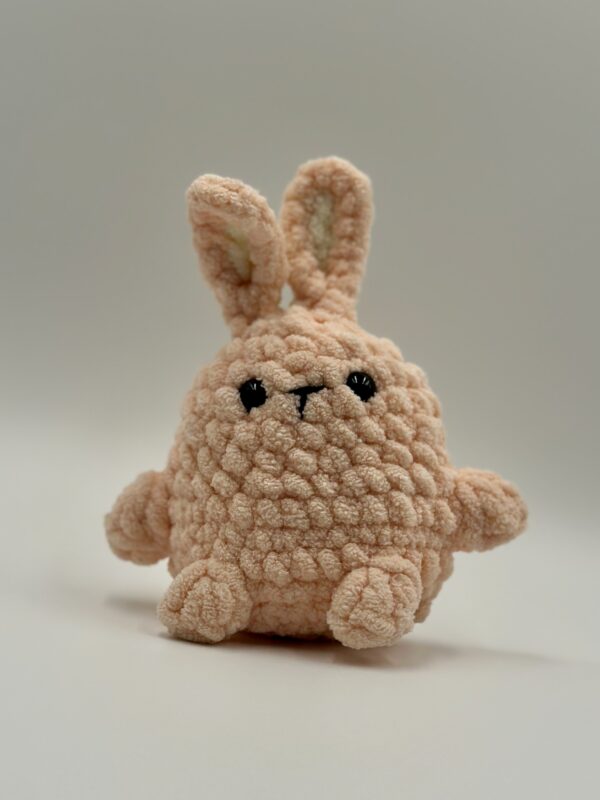 Pikki Bunny