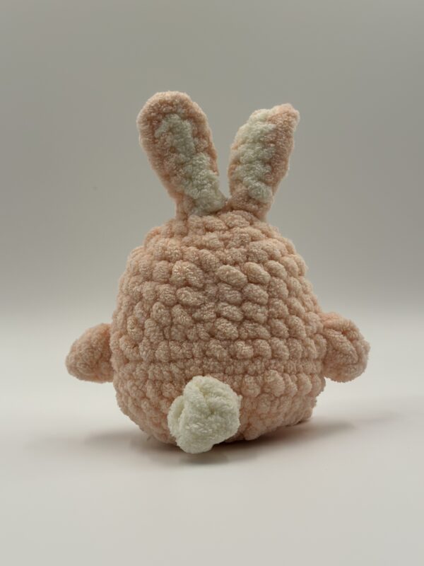 Pikki Bunny Crochet Plushie - back